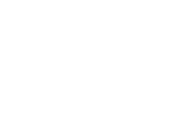 Wilkins Excavating