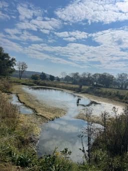 Narrow pond reflecting blue sky and clouds with person wading in the background